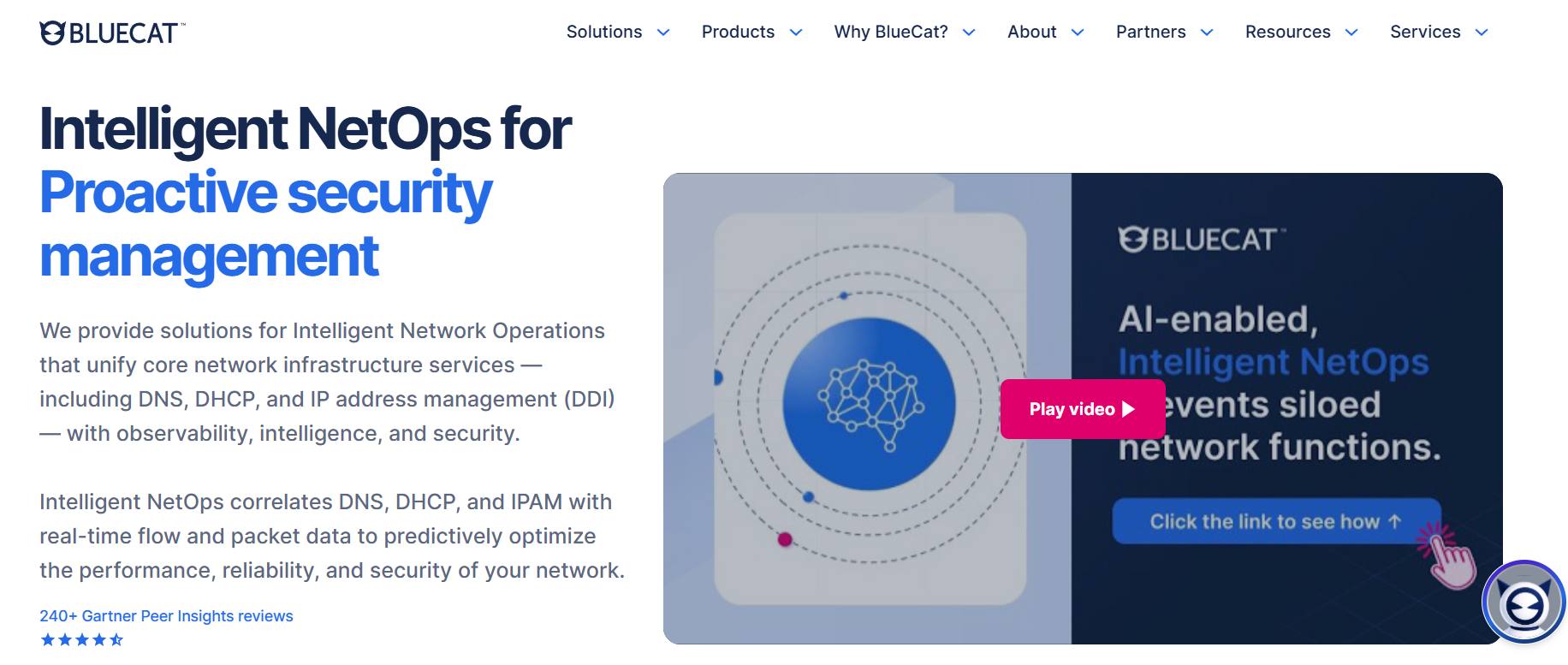 BlueCat Networks